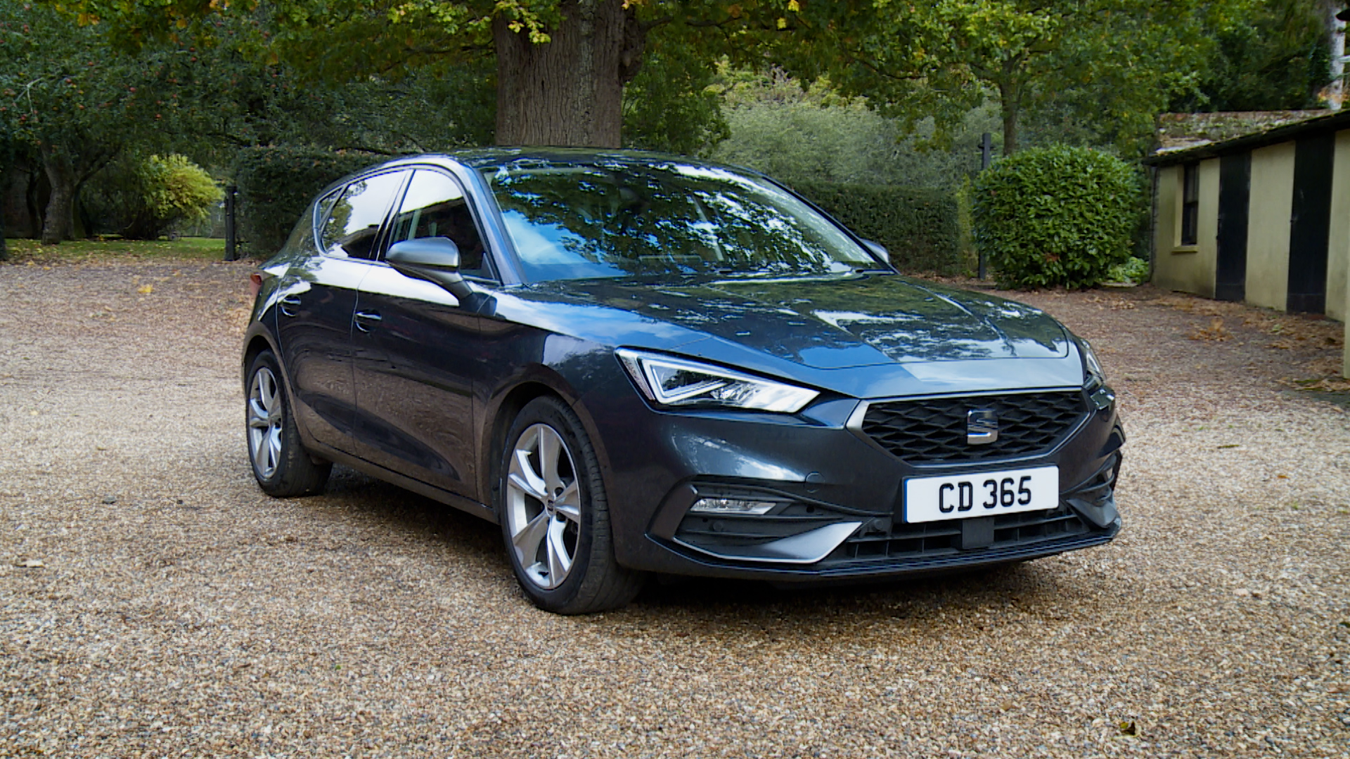 SEAT LEON HATCHBACK 1.5 eTSI 115 SE 5dr DSG [DAP]